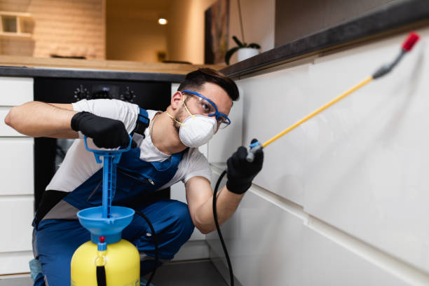 Best Pest Prevention Services  in Judson, SC