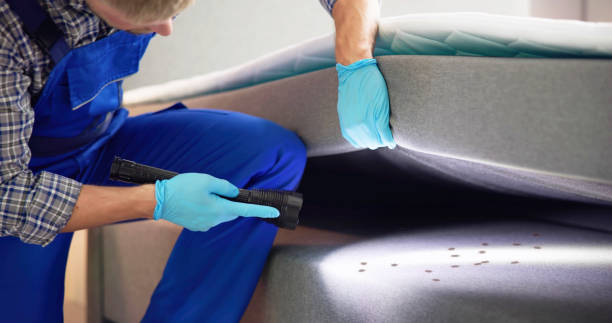 Best Affordable Pest Control Services  in Judson, SC